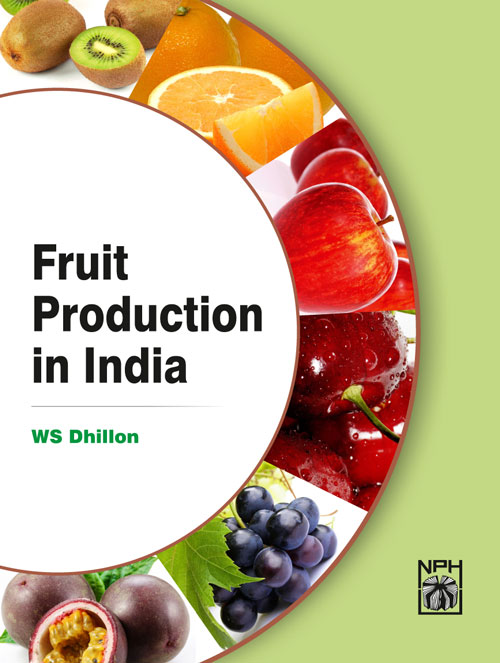 Fruit Production in INDIA